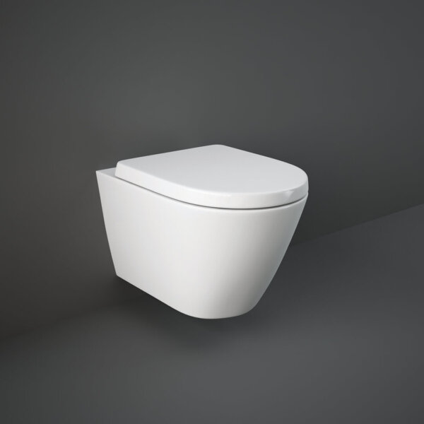 Seinapealne wc pott RESORT RIMLESS 52 (prill-lauaga) RAK