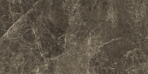 sienas-gridas-flize-tele-di-marmo-60x120-frappuccino-pollock-emilceramica