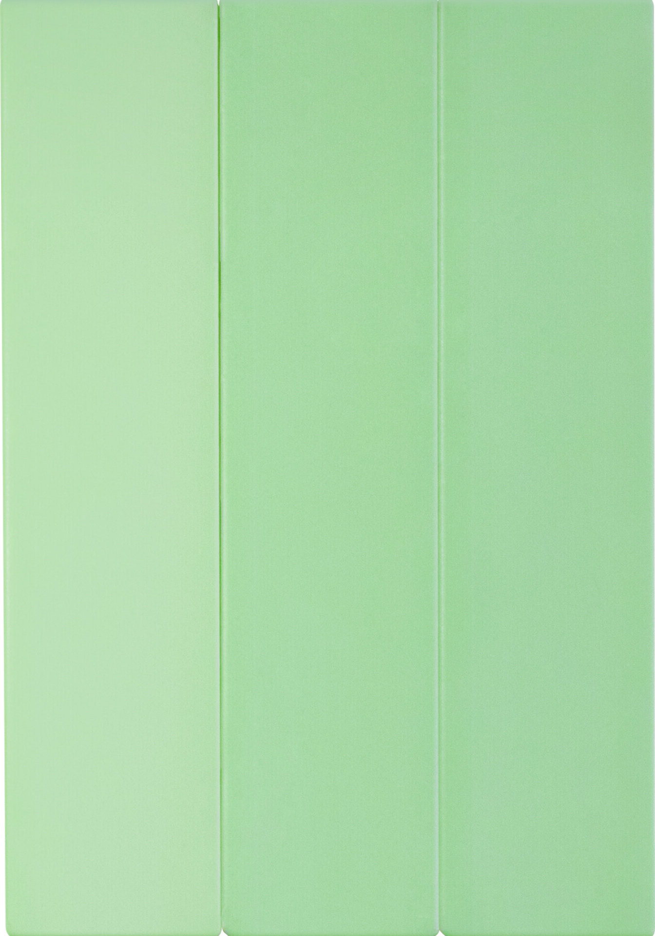 seinaplaat-candy-5x20-mint-dna