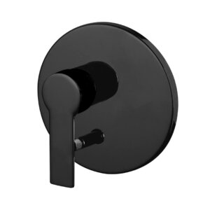 Shower mixer with MAST 2 outlet, black matt, FIMA CF